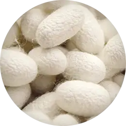 ikonka